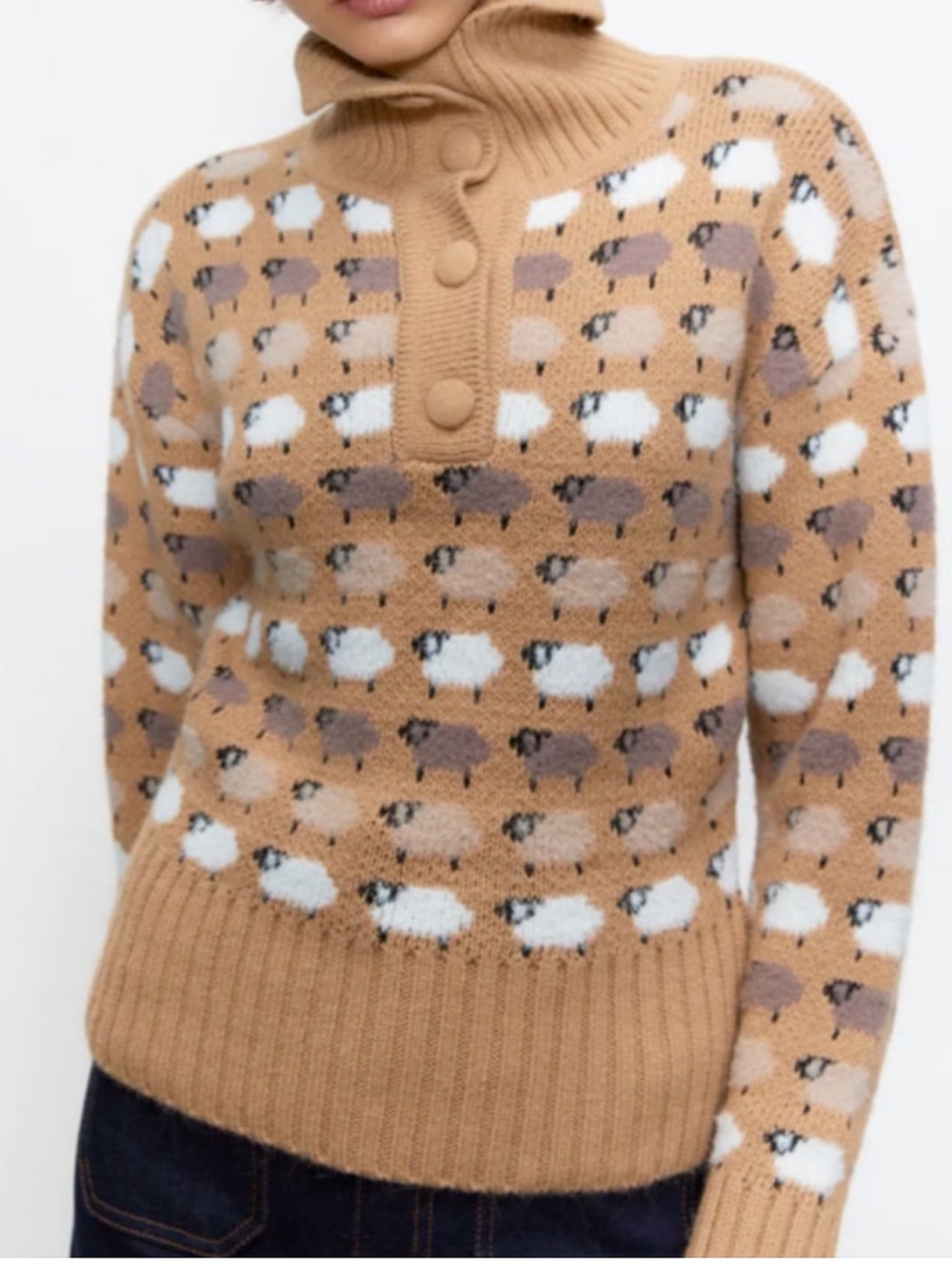 NWOT ZARA Tan Sheep Sweater